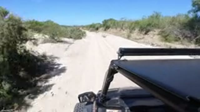 LOS CABOS MEXICO-2019: Camera Mounted On Top Of A Jeep That Is Driving Down A
