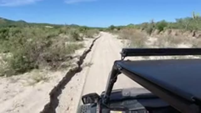 LOS CABOS MEXICO-2019: Wrangler Driving Through The Desert With Surprisingly Green Vegetation