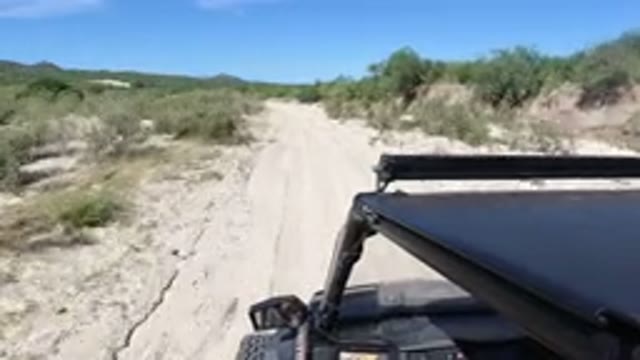 LOS CABOS MEXICO-2019: A Person Driving On A Desert Road With Green Grass