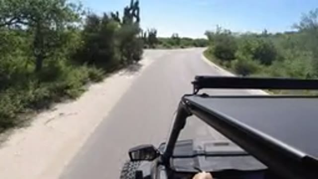 LOS CABOS MEXICO-2019: A Vehicle Moving Along Empty Road with Trees and Buildings on Both Sides
