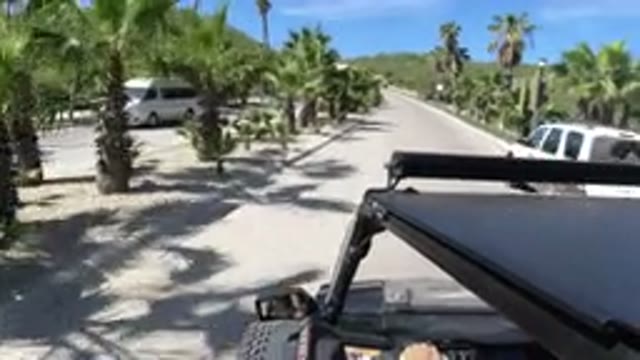 LOS CABOS MEXICO-2019: Golf Cart Drives Along Straight Sunny Road With Palm Trees