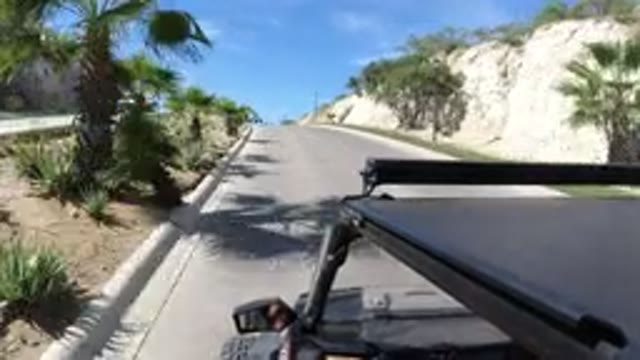 LOS CABOS MEXICO-2019: Vehicle Moves Down Divided Road Palm Trees On Either Side