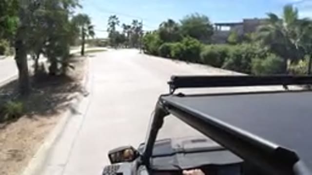LOS CABOS MEXICO-2019: Jeep Travel On The Nice Roadside Coconut Trees House