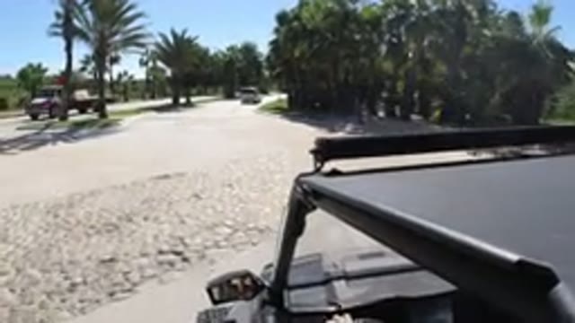 LOS CABOS MEXICO-2019: Wrangler Driving Down A Grassy And Palm Tree Lined Road