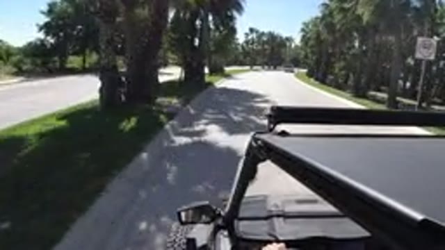 LOS CABOS MEXICO-2019: Wrangler Driving Through Curve In The Road With Many Trees