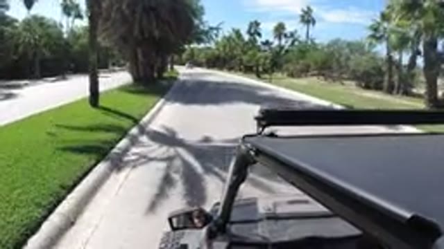 LOS CABOS MEXICO-2019: Wrangler Speeding Down The Street With Lots Of Trees At