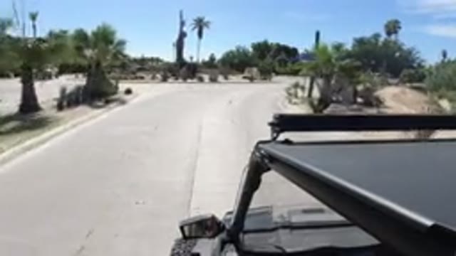 LOS CABOS MEXICO-2019: Man Driving Vehicle on Cracked Road with Trees on Both Sides