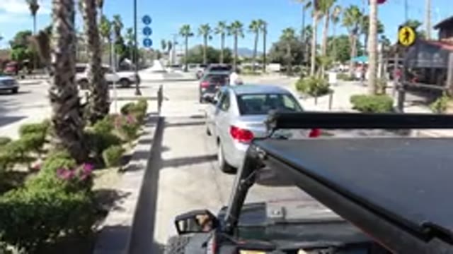 LOS CABOS MEXICO-2019: We Drive In Palm Beach And This Amazing Thing Happens