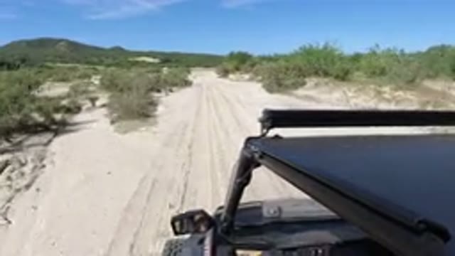 LOS CABOS MEXICO-2019: Wrangler Low Speed Deserted Road Vegetation Mountain