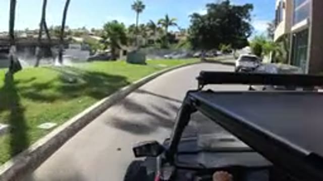 LOS CABOS MEXICO-2019: Driving Through a Suburban Neighborhood with Many Trees and Palm Trees