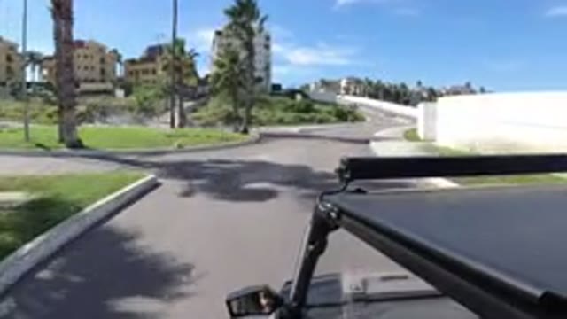 LOS CABOS MEXICO-2019: Wrangler Drives Beautiful Street With Trees