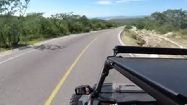 LOS CABOS MEXICO-2019: Wrangler Driving Down The Road