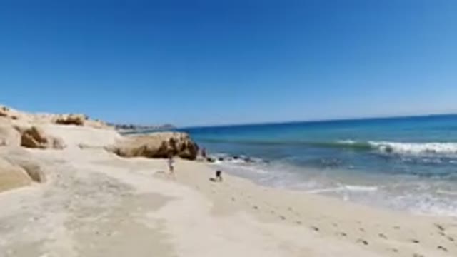 LOS CABOS MEXICO-2019: Beach River Or Sea Small Mountains Dog And A Person
