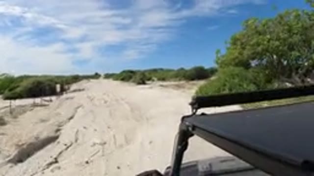 LOS CABOS MEXICO-2019: Wrangler Camera Showing Dirt Road With Lots Of Trees And Bushes