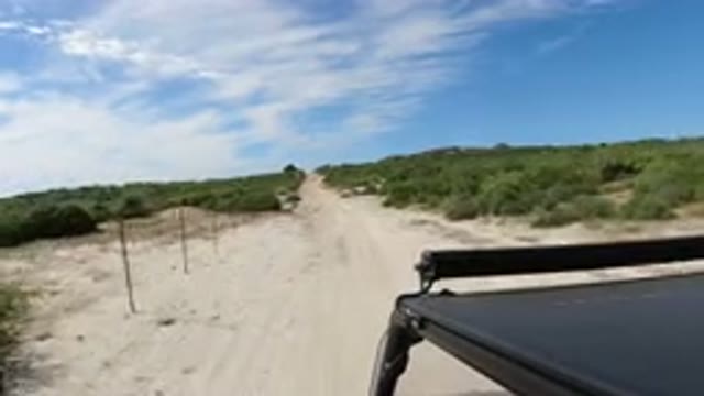 LOS CABOS MEXICO-2019: Peacefully Driving Through The Desert During The Day