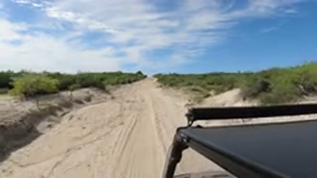 LOS CABOS MEXICO-2019: Joyride On a Warm Sunny Day