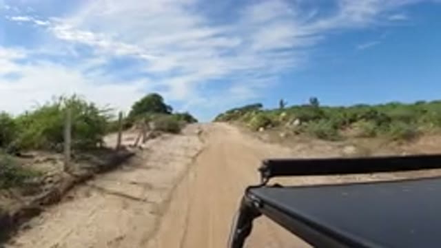LOS CABOS MEXICO-2019: Wrangler Drives Down Dirt Road By Itself