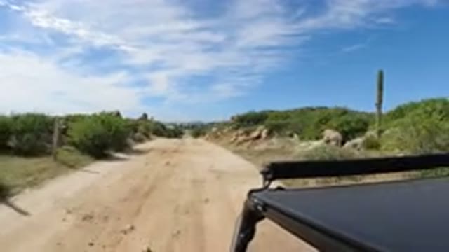 LOS CABOS MEXICO-2019: Wrangler Driving Through Rocky Road On Sunny Day