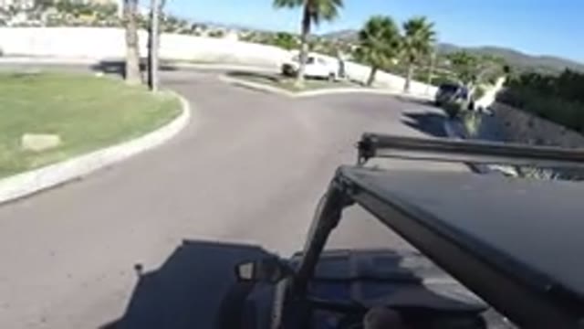 LOS CABOS MEXICO-2019: Point Of View From Wrangler Driving On Road With Palm Trees