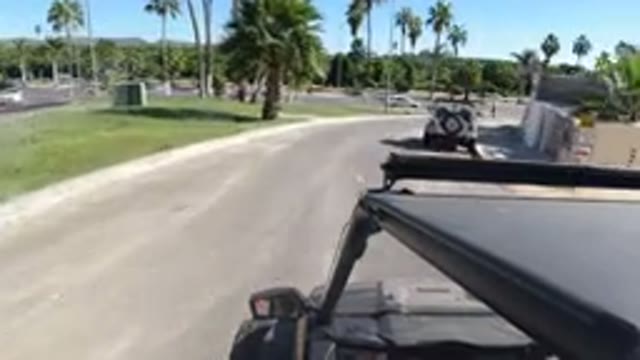 LOS CABOS MEXICO-2019: A Black Wrangler Driving Through A Palm-Lined Boulevard