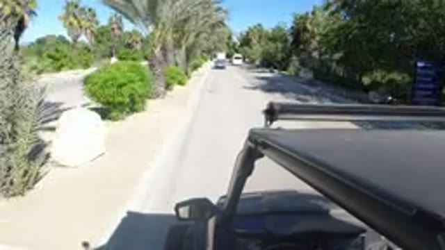 LOS CABOS MEXICO-2019: A Vehicle Riding On Free Road With Beautiful Nature
