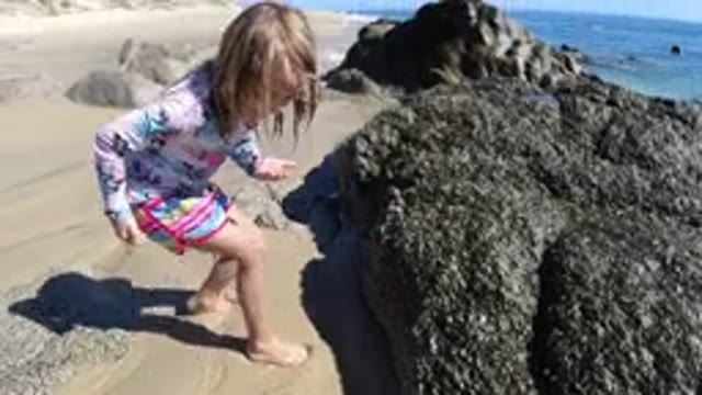 LOS CABOS MEXICO-2019: A Small Girl On A Sunny Day Looking For Conches On A