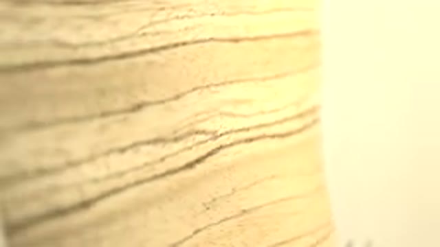 A Flat Yellow Object With Black Stripes And Dots Keeps Rotating
