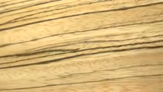 A Designer Tiger Flat Wood