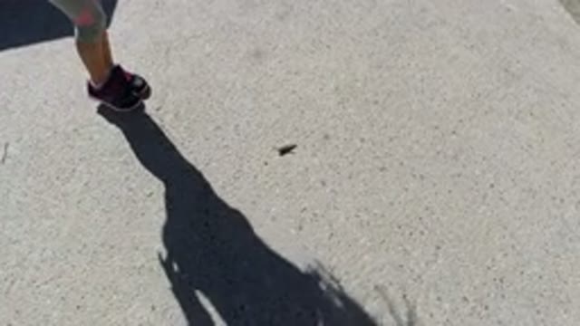 SAN JOSE DEL CABO MEXICO-2020: Child Stands In The Sun So That Its Shadow Is Cast