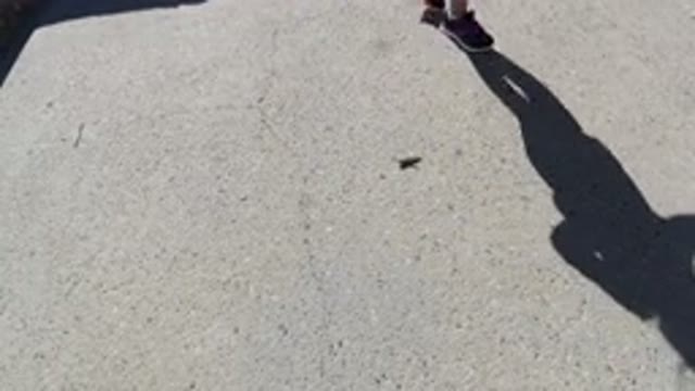 SAN JOSE DEL CABO MEXICO-2020: A Kid Is Walking Around A Bug And At The Last