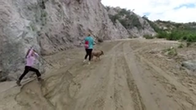 SAN JOSE DEL CABO MEXICO-2020: A Woman And Child Walking A Dog Along A Dirt Road