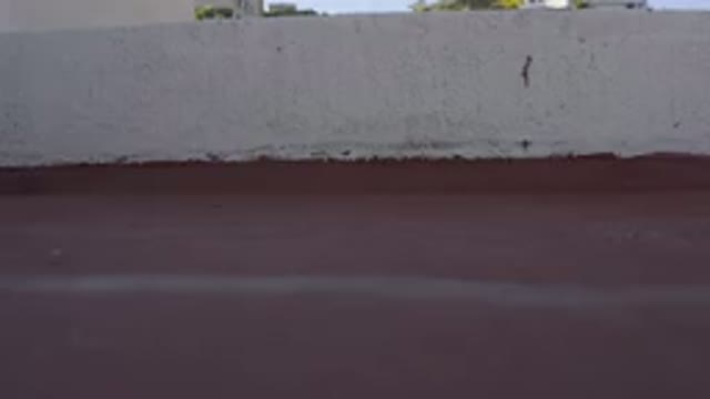 LOS CABOS MEXICO-2020: The Small Video Is Showing Some Houses Or Buildings In A