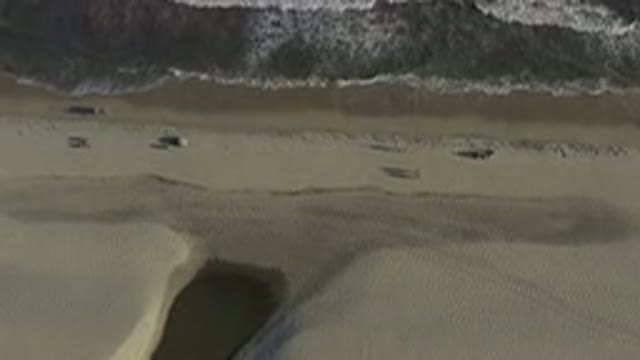 LOS CABOS MEXICO-2020: Family Video That Shows Some People Chatting About The Holiday Season