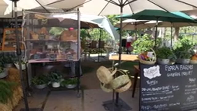 SAN JOSE DEL CABO MEXICO-2020: Food And Vegetable Shops Under An Umbrella Roof