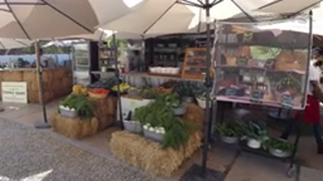 SAN JOSE DEL CABO MEXICO-2020: Food Market On A Slow Day Selling Vegetables And Fruits