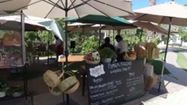 SAN JOSE DEL CABO MEXICO-2020: Fresh Outdoor Market with Good Selection of Baskets