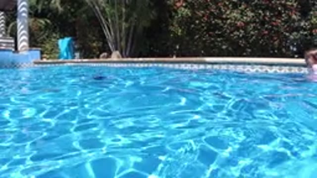 SAN JOSE DEL CABO MEXICO-2020: Little Girl Trying To Dive In A Swimming Pool