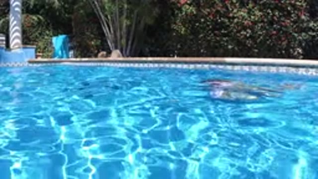 SAN JOSE DEL CABO MEXICO-2020: A Girl Swimming in a Pool