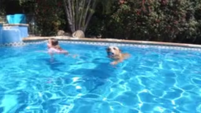SAN JOSE DEL CABO MEXICO-2020: A Dog And A Kid Swimming Together In A Pool