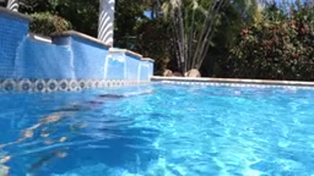 SAN JOSE DEL CABO MEXICO-2020: Child Going Under Water Multiple Times In A Pool