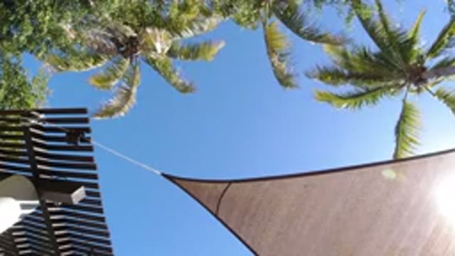 SAN JOSE DEL CABO MEXICO-2020: Beautiful Clean Blue Sky Is Visible Through