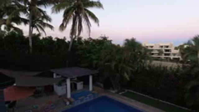 LOS CABOS MEXICO-2020: Palm Trees Surrounding Pool Area