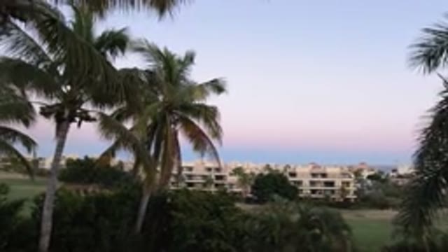 LOS CABOS MEXICO-2020: A View Of Palm Trees And Buildings On A Windy Day