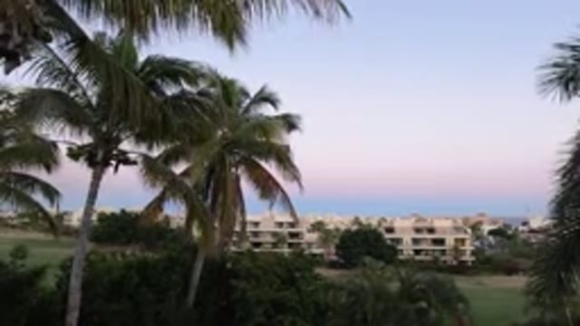 LOS CABOS MEXICO-2020: A Truly Breathtaking View Of Nature And Beautiful Palm Trees