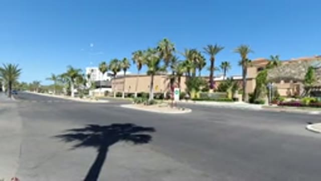 LOS CABOS MEXICO-2020: Person Recording The Street With Beautiful Coconut Trees