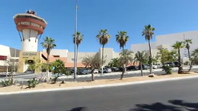 LOS CABOS MEXICO-2020: Trees Long Coconut Trees No Traffic Peace Of Silence One