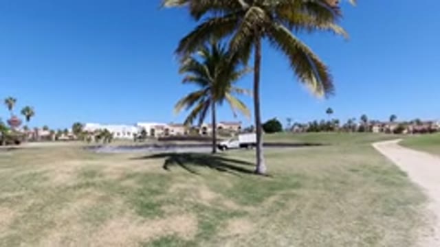 LOS CABOS MEXICO-2020: Sunny Amazing Day In Los Cabos