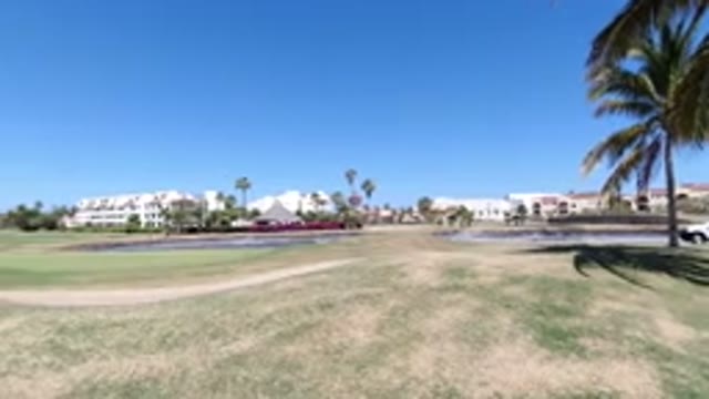 LOS CABOS MEXICO-2020: View Of A Landscape With Grass And Dog