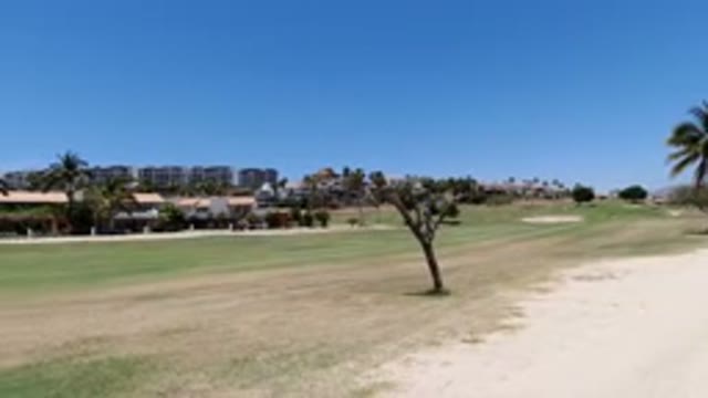 LOS CABOS MEXICO-2020: Green Golf Course in Los Cabos