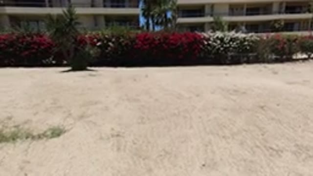 LOS CABOS MEXICO-2020: Multiple Pots Of Flowers Of Different Colors To Sit